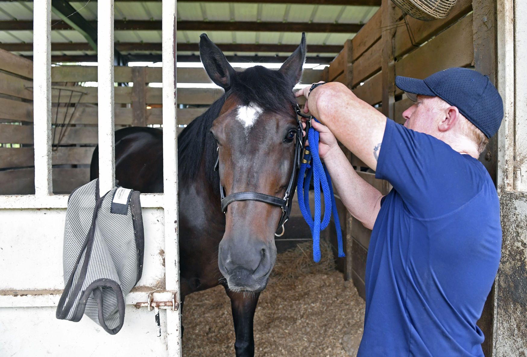 BR.brpdhorses.adv HS 020.JPG